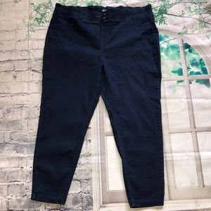 Terra & Sky Pull-on Jeans